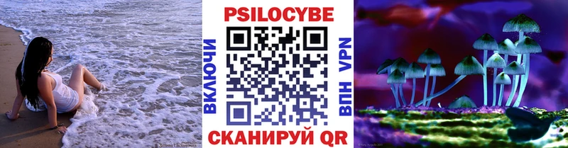 Галлюциногенные грибы мухоморы  Купить закладки  Александров 